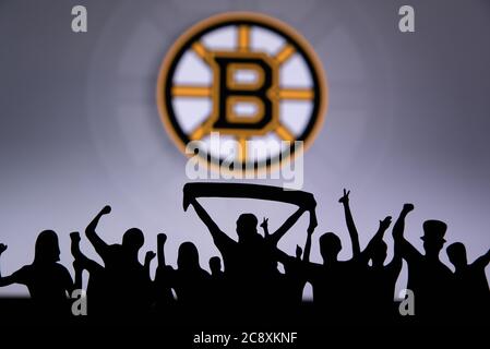 Les fans du club de hockey de la LNH célèbrent et soutiennent l'équipe de hockey de la LNH. Banque D'Images