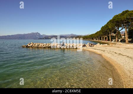 Vue sur la rive du lac avec des personnes assises sur les rochers et la promenade du lac avec une rangée de pins et ciel bleu clair, lac de Garde, Lazise, Italie Banque D'Images