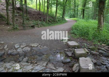 Wühlweg. Chemin de randonnée à travers la forêt entre Brückenpark et Solingen Burg. Banque D'Images