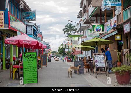 Rue haute avec restaurants et entreprises touristiques dans la ville de San Ignacio, Cayo District, Belize, Caraïbes Banque D'Images