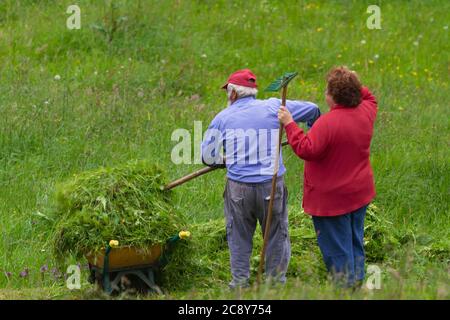 Couple senior travaillant à la ferme Banque D'Images