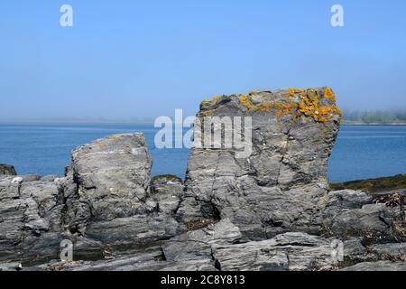 Casco Bay, Maine. Barnes Island au large de Harpswell Neck. Banque D'Images