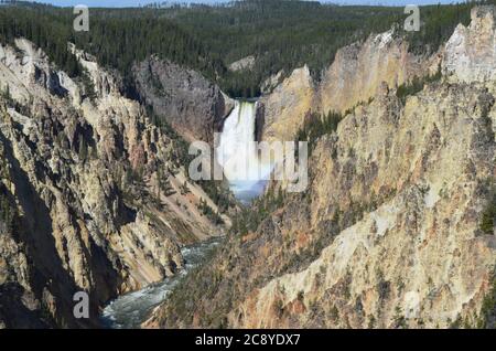 Printemps dans le parc national de Yellowstone : un arc-en-ciel à la base des chutes inférieures, dans le Grand Canyon de la rivière Yellowstone, vu depuis Artist point Banque D'Images
