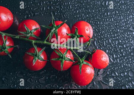 Studio de tomates cerises mûres recouvertes de gouttes d'eau isolées sur fond noir Banque D'Images