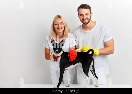 jeune heureux positif gentil couple petting un chien dans la clinique. portrait de gros plan, amitié, amour Banque D'Images