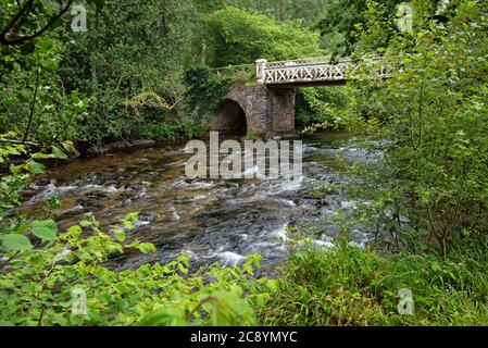 Marsh Bridge, River Barle, parc national d'Exmoor, Dulverton, Somerset, Royaume-Uni Banque D'Images