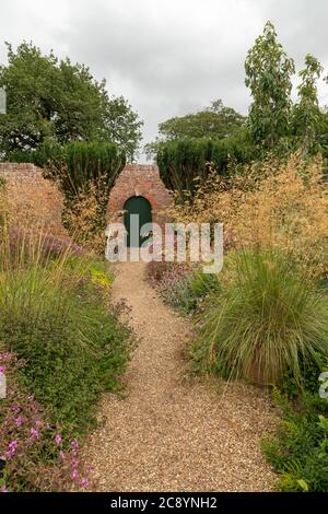 Plantes poussant dans le jardin clos à Felbrigg House, Norfolk, Royaume-Uni - une propriété de National Trust. Banque D'Images