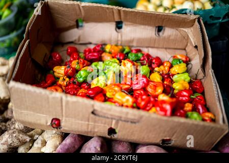 Piments forts en vente sur un marché en plein air, Royaume-Uni Banque D'Images