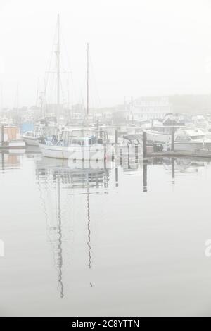 Une vue du matin sur la marina de Newport sur la rivière Yaquina en Oregon. Il y a beaucoup de bateaux de pêche commerciaux et privés morrés dans le backgrou Banque D'Images