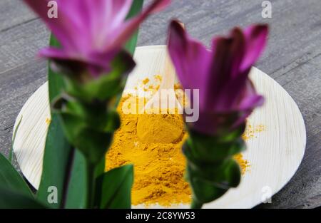 Voir au-delà de fleur de curcuma violette sur une cuillère avec poudre d'assaisonnement au curcuma Banque D'Images