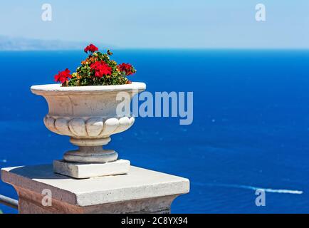 Pot en céramique blanche avec géraniums rouges sur fond bleu de la mer en pleine journée ensoleillée d'été. Concept de déplacement. Copier l'espace. Banque D'Images