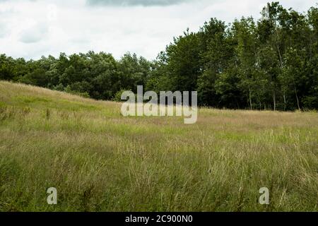 Un emplacement magnifique qui a une promenade dans la nature autour des marais, la forêt et la rivière. Un environnement bien entretenu avec un beau paysage. Une nature Banque D'Images