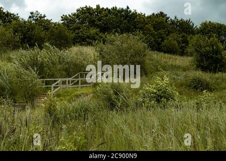 Un emplacement magnifique qui a une promenade dans la nature autour des marais, la forêt et la rivière. Un environnement bien entretenu avec un beau paysage. Une nature Banque D'Images