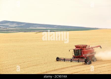 Tetonia, Idaho, États-Unis 8 août 2016 machines agricoles récoltant du blé dans les champs fertiles de l'Idaho, avec la chaîne de montagnes Teton en arrière-plan. Banque D'Images