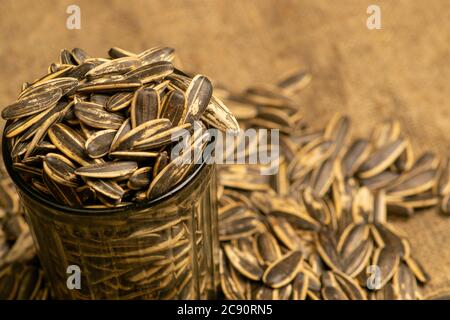 Graines de tournesol frites dans une tasse de verre et graines de tournesol dispersées sur le gerblage grossier. Gros plan Banque D'Images