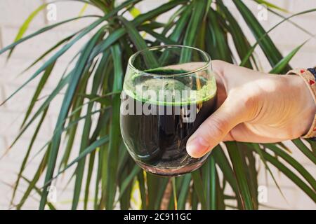 Main de femme tenant la spiruline ou la chlorella boire dans un verre. Banque D'Images