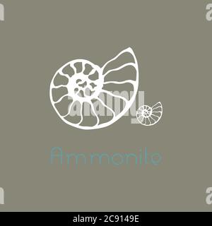 Logo vectoriel nautilus seashell de l'ammonite fossile. Illustration dessinée à la main pour le salon de spa, le restaurant de fruits de mer café entreprise Illustration de Vecteur