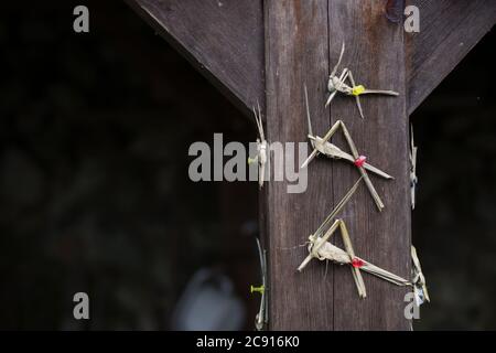 Shirakawa-Go, Japon, 07-24-2020 , Shirakawa-Go, un village du patrimoine mondial au Japon. Banque D'Images