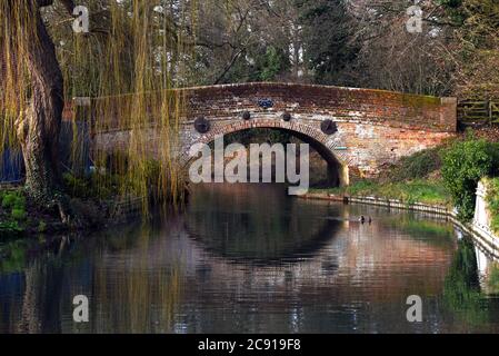 Le pont de la vache à orge se reflète dans les eaux calmes du magnifique canal de Basingstoke, dans le Hampshire Banque D'Images