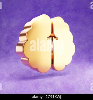 Icône cerveau. Or brillant symbole du cerveau isolé sur fond de velours violet. Icône moderne pour site Web, médias sociaux, présentation, élément de modèle de conception. Rendu 3D. Banque D'Images