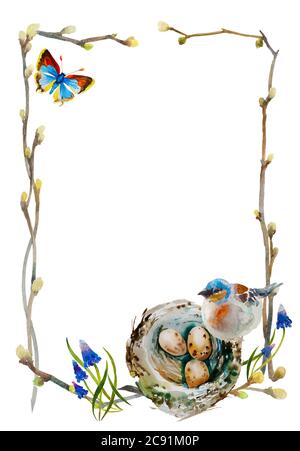 Cadre de source aquarelle provenant de brindilles et de nouveaux bourgeons avec un petit nid de chaffin et des œufs, des fleurs de papillon bleu et de muscari Banque D'Images
