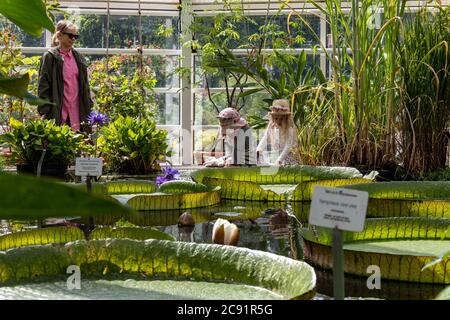 Petites filles en chapeaux d'été et femme adulte en lunettes de soleil à la salle Waterlily du jardin botanique de Kaisaniemi à Helsinki, Finlande Banque D'Images