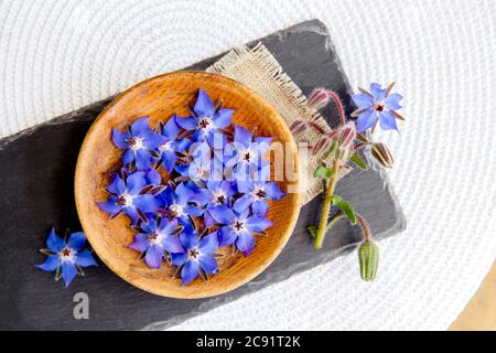 Utilisation belle fleur comestible bleu foncé pour la décoration alimentaire Borago officinalis (Borago ou borage). Plan de pose vue sur les fleurs dans un bol en bois sur noir. Banque D'Images