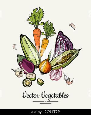 Illustration représentant un légume isolé. Vector hippster dessiné légumes de couleur végétarien poster école de cuisine Illustration de Vecteur