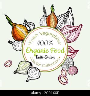 Modèle d'étiquette d'autocollant vectoriel vintage pour les produits d'épicerie à base d'oignons. Hipster nourriture fraîche tirée illustration bulbe oignon Illustration de Vecteur