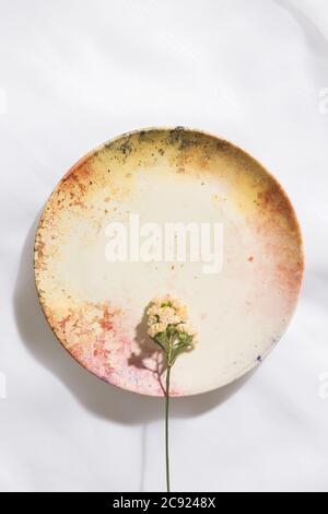 Vue de dessus d'une fleur dans une assiette en toile de fond Banque D'Images
