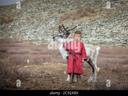 tsaatan enfant dans le paysage mongol nord avec un bébé renne Banque D'Images