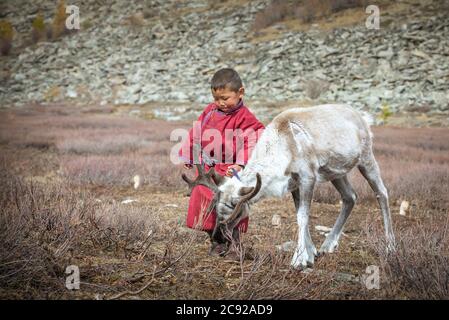 tsaatan enfant dans le paysage mongol nord avec un bébé renne Banque D'Images