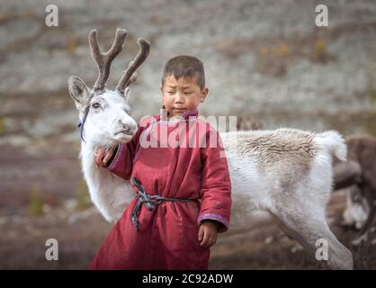 tsaatan enfant dans le paysage mongol nord avec un bébé renne Banque D'Images