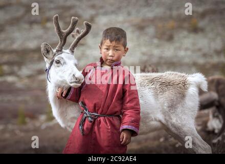 tsaatan enfant dans le paysage mongol nord avec un bébé renne Banque D'Images