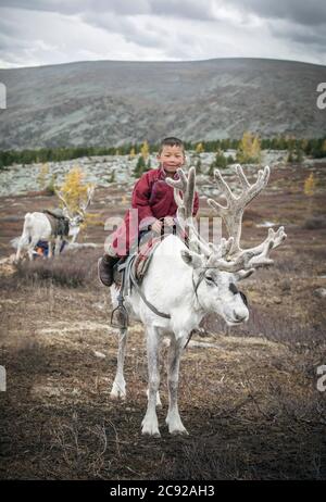 Jeune tsaatan avec renne dans le nord de la Mongolie Banque D'Images