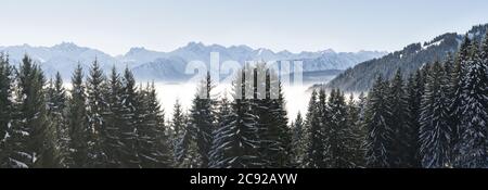 Pente de montagne boisée et panorama de la chaîne de montagnes avec neige dans le brouillard de la vallée basse avec silhouettes de conifères à feuilles persistantes enveloppées de brume. Enneigé Banque D'Images