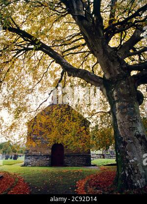 Eglise Sainte Marie, Strata Florida, Ystrad Fflur, Pontrhydfendigid, Tregaron. West End vu à travers un rideau de feuilles d'automne. Churc de la paroisse anglicane Banque D'Images