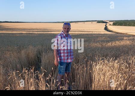 Un homme mature se tient dans un champ de blé. Porter une chemise à carreaux et un short, des lunettes de soleil sur le front. Banque D'Images