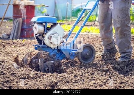 Motoculteurs cultivateur pour le travail du sol. Jardinage. Mise au point sélective Banque D'Images