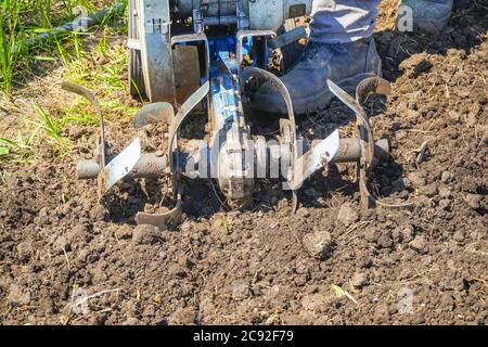 Motoculteurs cultivateur pour le travail du sol. Jardinage. Mise au point sélective Banque D'Images