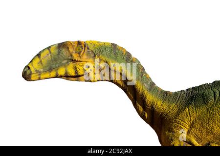 Vue latérale tête de dinosaure isolée sur fond blanc Banque D'Images