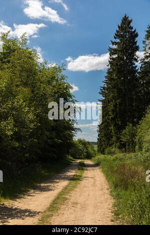 Sentier de randonnée le long de la rivière Wupper près de Wipperfürth Banque D'Images