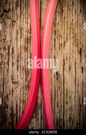 Rhubarbe à pied rose sur un banc en bois Banque D'Images