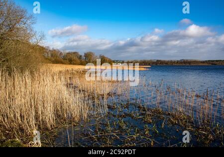 Lochmaben, Lockerbie, Dumfries et Galloway, Écosse. Banque D'Images