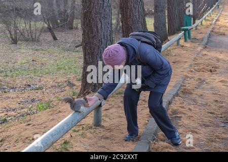 Ekaterinbourg, Russie - 30 octobre 2019 : en automne, dans le parc de la vieille ville, une femme plus âgée à dos nourrit peu d'écureuil mignon de sa main. Écureuil St Banque D'Images