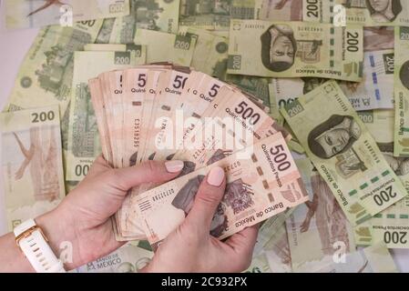 Coup de tête de mains de femmes portant 500 billets de banque en peso un tas de billets colorés Banque D'Images