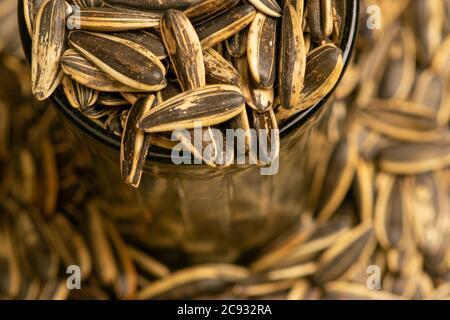 Graines de tournesol frites dans une tasse de verre et graines de tournesol dispersées. Gros plan Banque D'Images