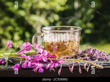 Chamaenerion angustifolium (pompier, grande wlowherb, rosebay willowherb) thé avec fleurs sèches et fraîches pour la décoration. Concept de médecine à base de plantes. Banque D'Images