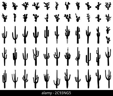 Silhouettes noires de différents cactus sur fond blanc Banque D'Images