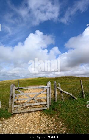 South Downs National Park, Sussex, Royaume-Uni près de Firle Beacon. Une porte et une clôture sur la route de South Downs Way. Banque D'Images